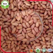 24/28, 28/32, 34/38, 38/42, Peanut Kernels Groundnuts